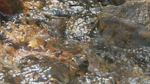 Spring water Stock Footage 244406908