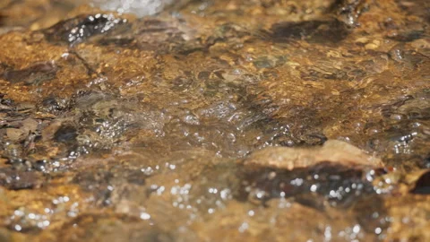 Spring water Stock Footage 244406961