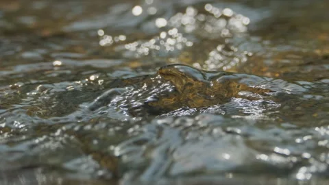 Spring water Stock Footage 244406975