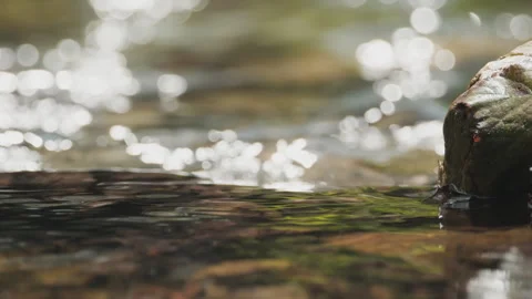 Spring water Stock Footage 244407139