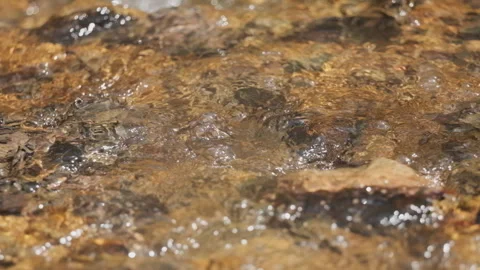 Spring water Stock Footage 244407314