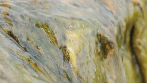 Spring water Stock Footage 244407639