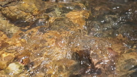 Spring water Stock Footage 244407736