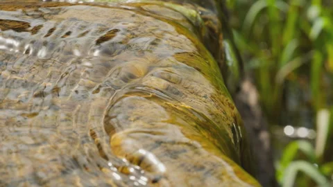 Spring water Stock Footage 244407773