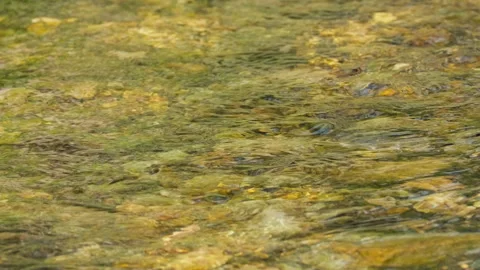 Spring water Stock Footage 244407871