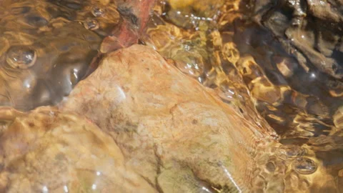 Spring water Stock Footage 244408003