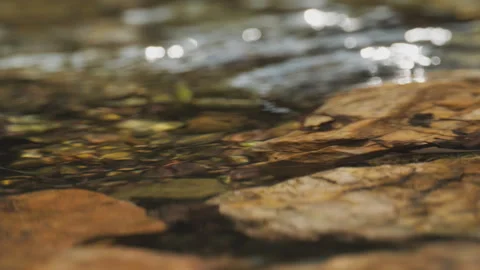 Spring water Stock Footage 244408196