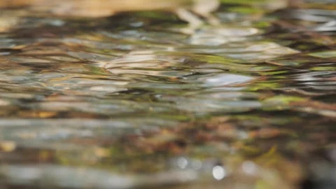 Spring water Stock Footage 244408219