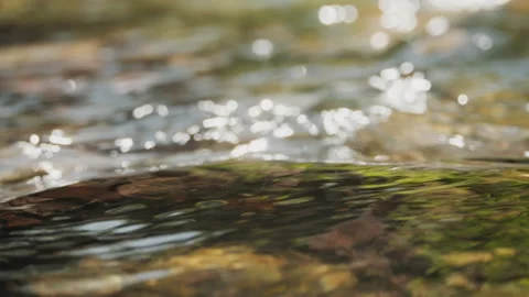 Spring water Stock Footage 244408230