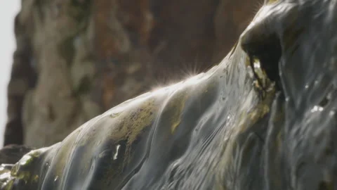 Spring water Stock Footage 244408256