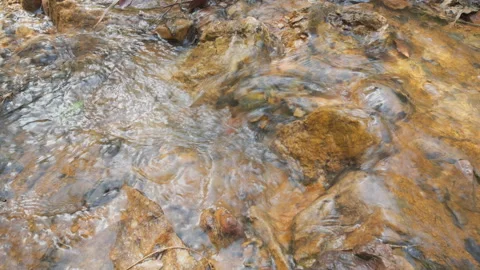 Spring water Stock Footage 244408387