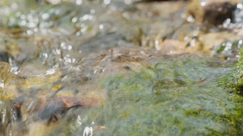 Spring water Stock Footage 244408400