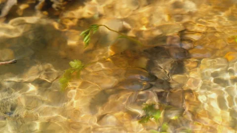 Spring water Stock Footage 244408608