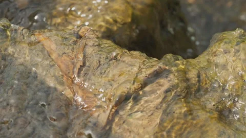 Spring water Stock Footage 244408622