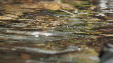 Spring water Stock Footage 244408715