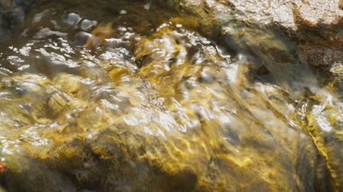 Spring water Stock Footage 244409038