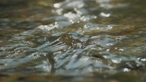 Spring water Stock Footage 244409217