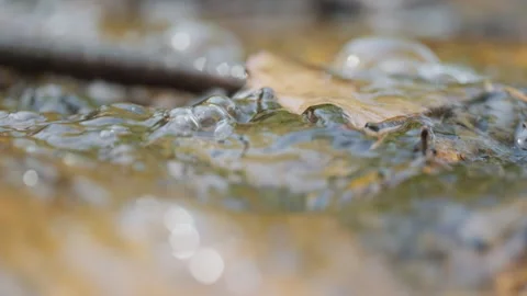 Spring water Stock Footage 244409276