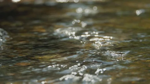 Spring water Stock Footage 244409293