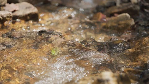 Spring water Stock Footage 244409392