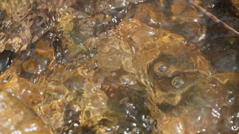 Spring water Stock-Footage 244409476