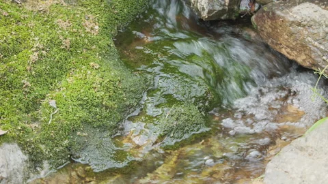 Spring water Stock Footage 244409483