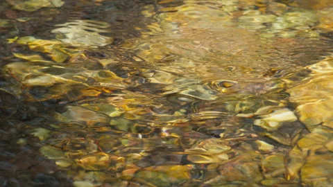 Spring water Stock Footage 244409537