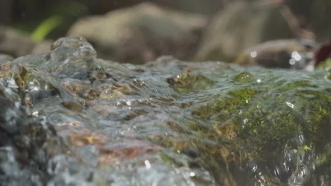 Spring water Stock Footage 244409556