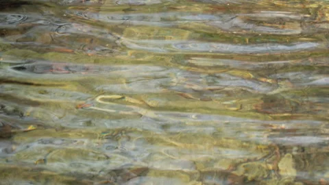 Spring water Stock Footage 244409582