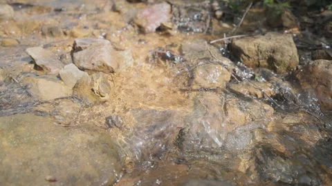 Spring water Stock Footage 244409622