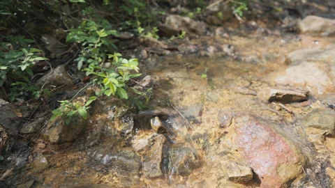 Spring water Stock Footage 244409678