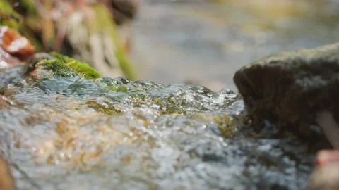 Spring water Stock Footage 244409809