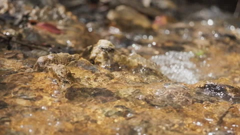 Spring water Stock-Footage 244410067