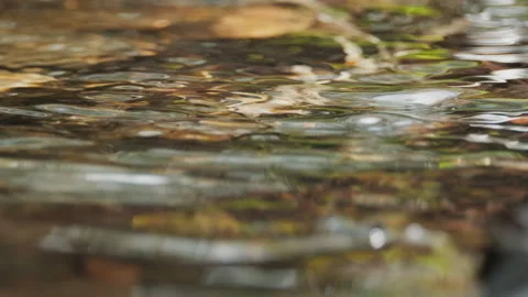 Spring water Stock-Footage 244410101