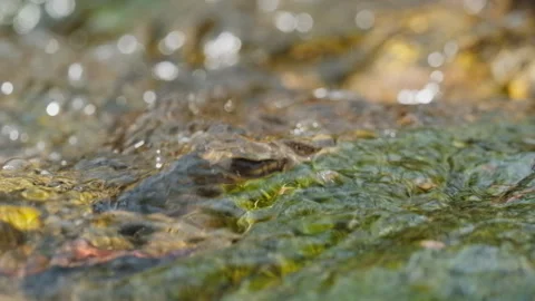 Spring water Stock-Footage 244410147