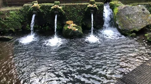 Spring water Stock Footage 320283925