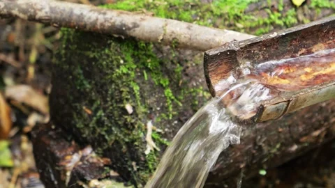 Spring water from the forest, a bamboo water pipe Video stock 324851997