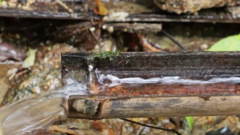 Spring water from the forest, a bamboo water pipe Stock Footage 324852182