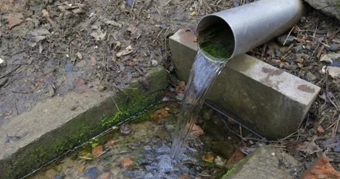 Spring water in forest 库存影片 186466682