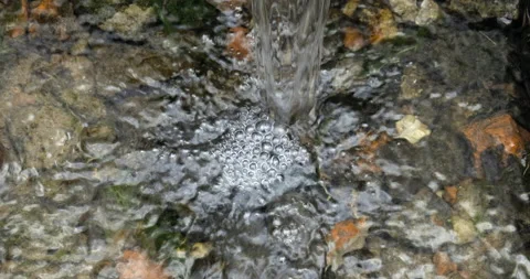 Spring water in forest Stock Footage 186467122