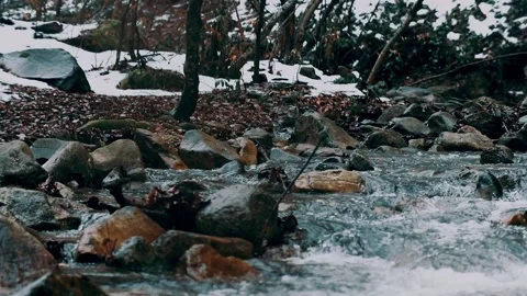 Spring water in the forest Stock-Footage 232291623