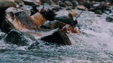 Spring water in the forest Video stock 232291677