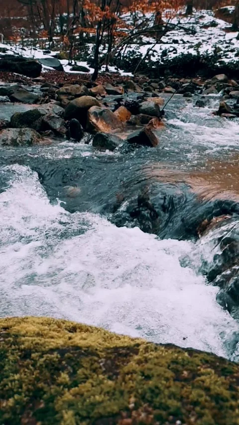 Spring water in the forest Stock Footage 232291679