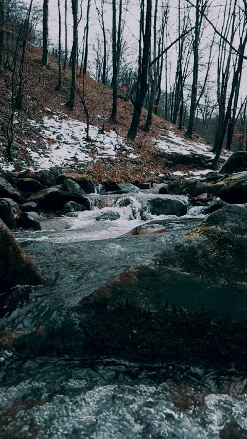 Spring water in the forest Video stock 232315092