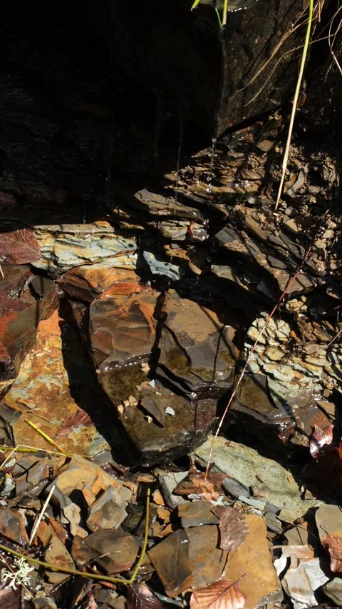 Spring water with iron impurities flows through shale rocks, coloring them red. Vidéo 331234777