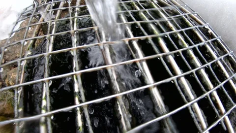 The Spring water from the land. Clean drinking water from the ground. Stock Footage 103820385