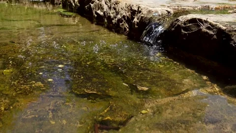 A spring of water, Maayan Vidéo 167682526