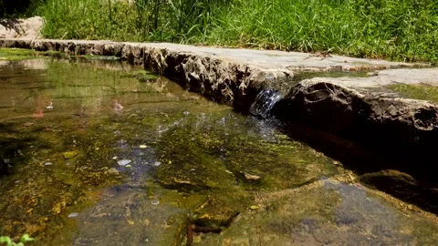 A spring of water, Maayan Vidéo 167684216