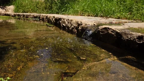 A spring of water, Maayan Vidéo 167684800