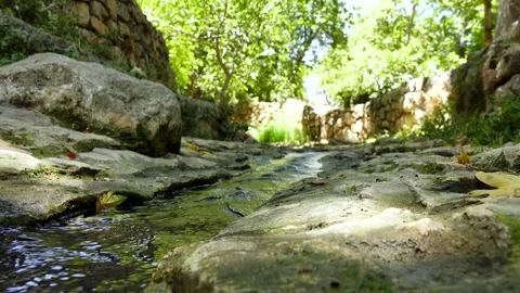 A spring of water, Maayan Vidéo 167685435